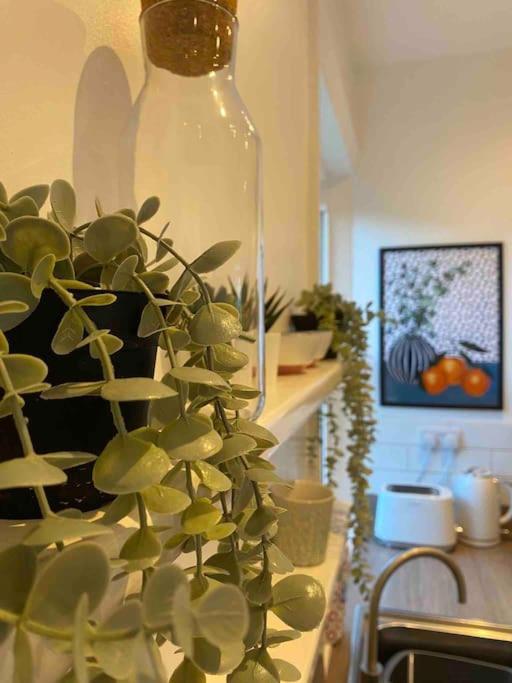 Garden Apartment, Central Harrogate With Parking Eksteriør bilde
